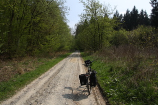 mit diesem Fahrrad ist so ein Belag kein Problem