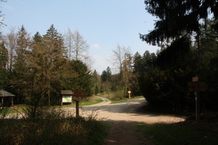 Kreuzbuche, nördliches Ende des Kammweges