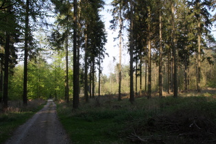 holprige Alternative zum Nienstedter Pass Richtung Egestorf