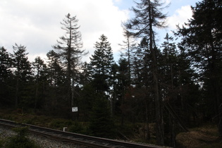 das erste vernünftige Schild am Wegesrand in diesem Jahr