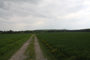 westlich von Velber, Blick zum Benther Berg