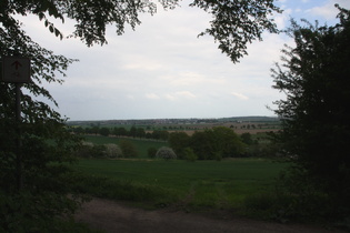 Blick vom Südostrand des Benther Berges nach Südosten — schlechte Fernsicht, vom Brocken nichts zu sehen