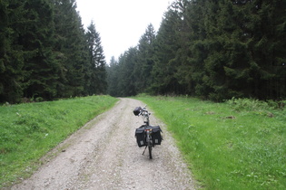 Sattelpunkt zwischen Kalte Birke und Sternplatz