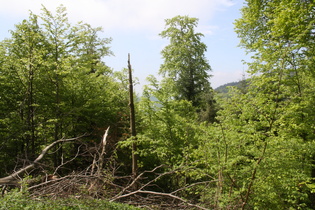 nördlich vom Sternplatz, Blick nach Westen