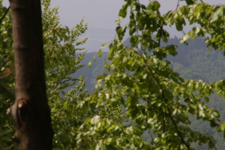 Zoom aus dem Harz heraus