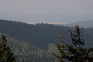 Zoom aus dem Harz heraus