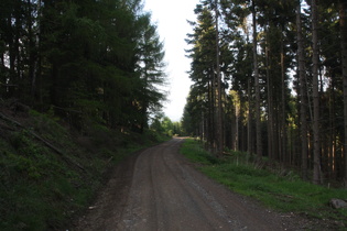 zwischen Waldschrat-Hütte und Goslar, Blick nach Norden