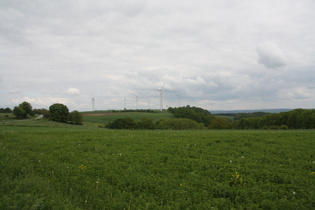 nordöstlich oberhalb von Bosseborn, Blick nach Osten über den Krekeler Berg auf den Solling im Hintergrund