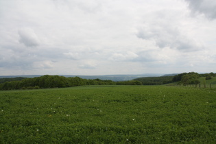 nordöstlich oberhalb von Bosseborn, Blick nach Südosten über das Wesertal auf Solling und Reinhardswald