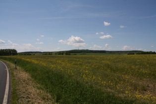 etwas weiter oben zwischen Mengershausen und Jühnde, Blick nach Westen