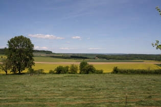 in Meensen, Blick nach Nordosten