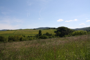 zwischen Ermschwerd und Kleinalmerode, Blick nach Süden