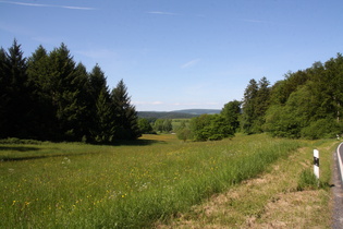 zwischen Ermschwerd und Kleinalmerode, Blick nach Norden