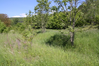 stillgelegte Bahntrasse in Rommerode, Blick nach Norden