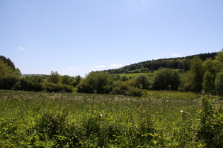 Blick von Rommerode Richtung Hoher Meißner