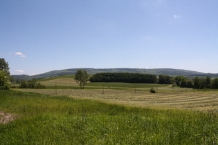 Hoher Meißner, Westflanke