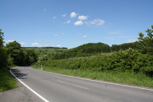 zwischen Rommerode und Velmeden, Blick auf den Gulsberg