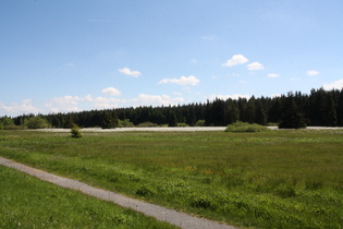 Moor auf dem Gipfelplateau