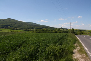 Hoher Meißner, Ostflanke, nördlicher Teil