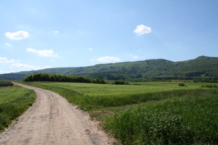 Hoher Meißner, Ostflanke, südlicher Teil