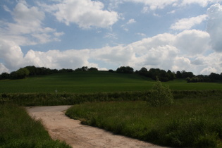 zwischen Reichensachsen und Blaue Kuppe, Blick nach Norden