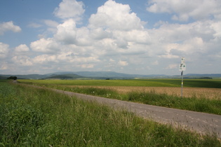 zwischen Reichensachsen und Blaue Kuppe, Blick auf den Hohen Meißner