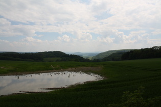 weiter oben, Blick über einen Tümpel nach Süden, …