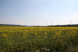 zwischen Bischhagen und Bremke, Blick Richtung Hoher Meißner