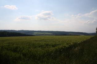 zwischen Bischhagen und Bremke, Blick nach Westen