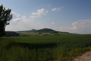 zwischen Bischhagen und Bremke, Blick nach Norden