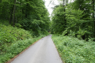 Bleichebachtal, unterer Bereich