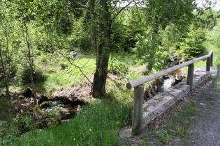 die Radau östlich der Baste-Siedlung, Blick flussaufwärts