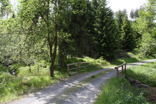 eine Brücke über die Radau weiter oben