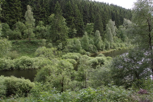 der Okerstausee, im Vergleich zu den Jahren davor gut gefüllt