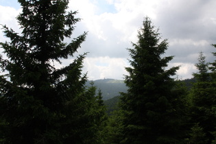 bei Schierke, Blick zum Wurmberg