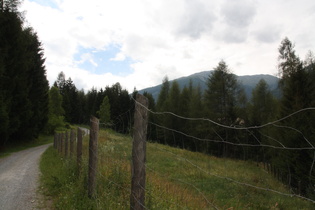 Radweg im Münstertal mit schlechtem Belag