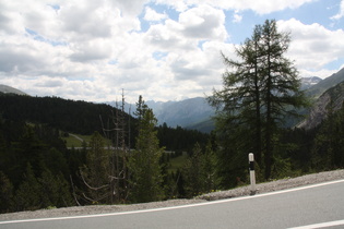 Blick zurück ins Münstertal