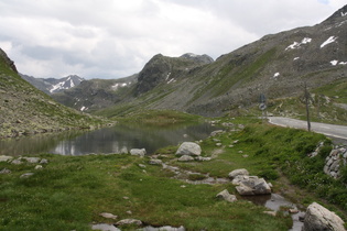 Alpen (Flüelapass)