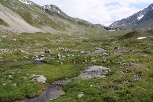 der Flüelabach oberhalb der Baumgrenze, Blick flussaufwärts