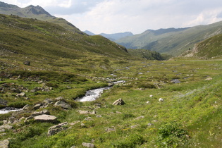 der Flüelabach oberhalb der Baumgrenze, Blick flussabwärts