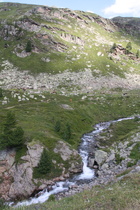 der Flüelabach im Bereich der Baumgrenze, Blick flussaufwärts