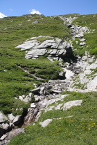 der Hüscherenbach nahe seiner Quelle, Blick flussaufwärts