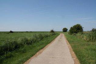 Blick auf den Deich nördlich von Wremen