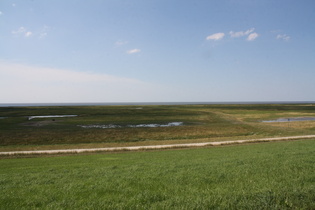 zwischen Dorum-Neufeld und Cappel-Neufeld, Blick nach Westen