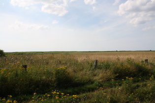 zwischen Arensch und Sahlenburg, im Westen Salzwiesen, die den Blick auf die Nordsee fast versperren