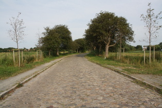 miserabler Fahrbahnbelag in Altenbruch