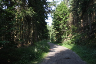 Anstieg zum Deisterkamm, oberhalb der ersten Kehre