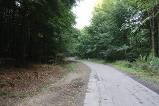 Kammweg zwischen Nienstedter Pass und Nordmannsturm