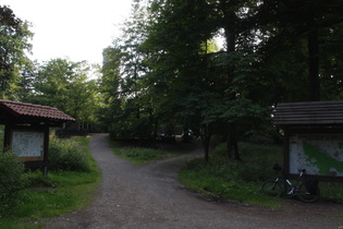 der Nordmannsturm auf dem Reinekensiekskopf