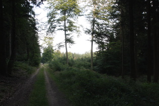 Abfahrt nach Barsinghausen